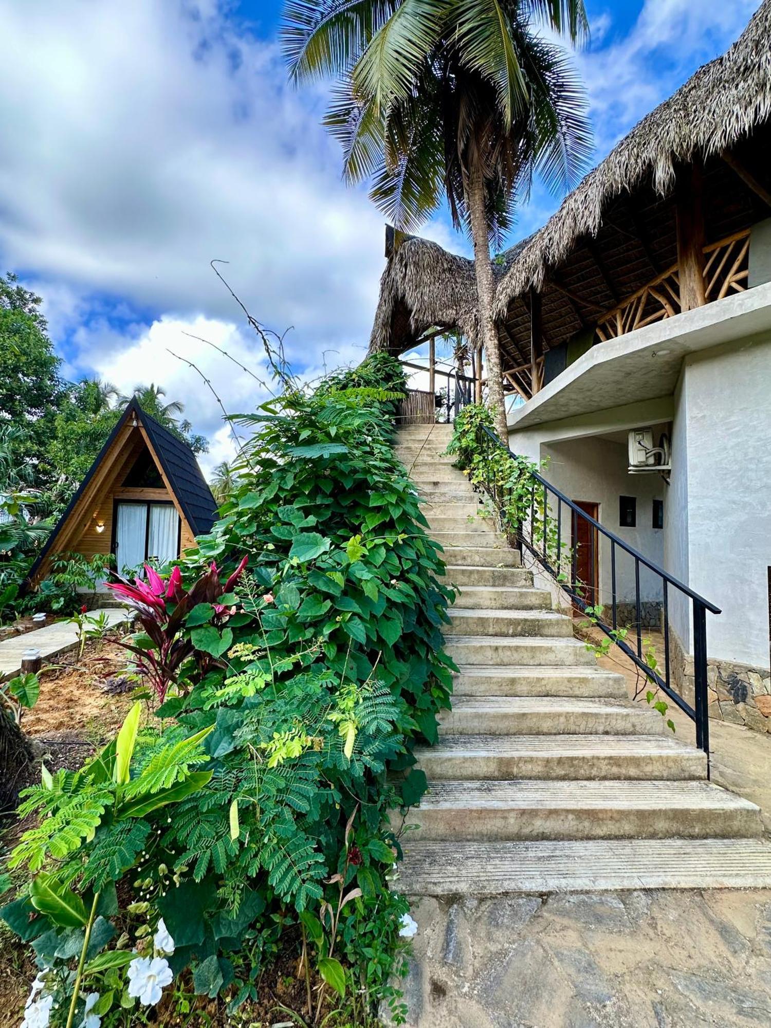 Leisy'S Garden Hostel & Rooms Samana Εξωτερικό φωτογραφία